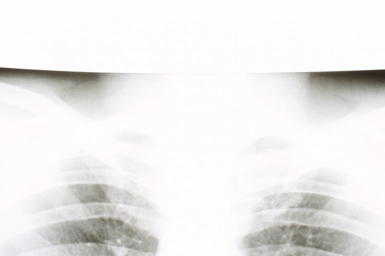 新宿の都心に広がる多様な内科医療最前線とその安心サポート力