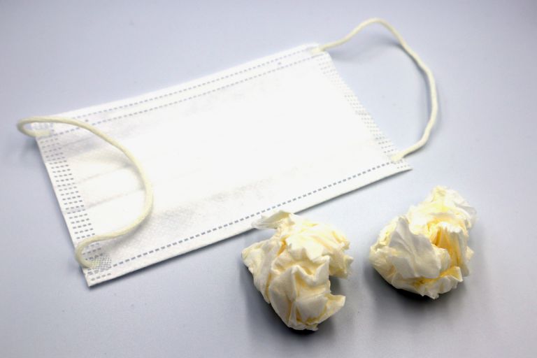 新宿で進化する都市型内科医療と多様な健康ニーズへの最前線対応